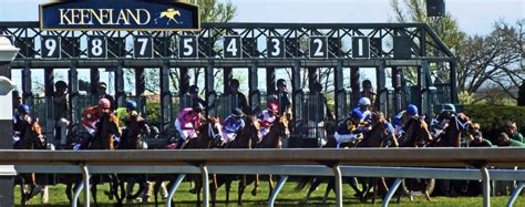 Keeneland association review  A free inside look at company reviews and salaries posted anonymously by employees