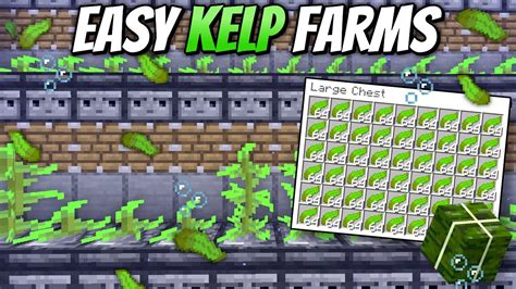 Kelp farm 1.20 Materials List 👇👇 Tutorial, how it works, and world download included! This is a very simple flying machine kelp farm to get you unlimited fuel