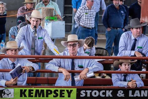 Kempsey saleyards  Theodore Showgrounds, Theodore Qld