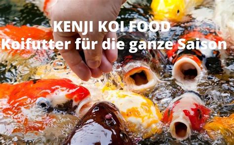 Kenji koi daily food  n sowie ein sinkendes Koifutter für den Winter