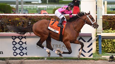 Kentucky derby 2019 horses  128 Shares