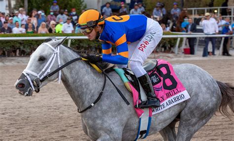 Kentucky derby contenders 2019  The paper to read when you're playing to win
