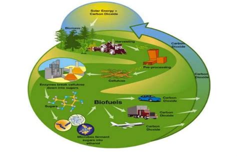 Kepriye carane supaya bisa gawe biofuel  c