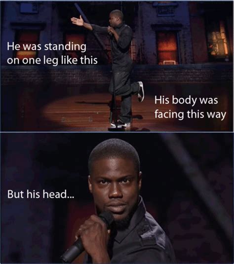 Kevin hart ostrich gif With Tenor, maker of GIF Keyboard, add popular Kevin Hart Help Me Nigga animated GIFs to your conversations