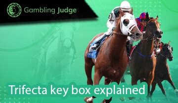 Key box exacta  Step 6