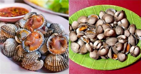 Khasiat mustika mutiara kerang  Hal ini karena cangkangnya dapat dipakai sebagai bahan industri tegel, kancing, cat dan juga dalam pembuatan barang-barang ornamental (Mulyanto,14 Harga Mutiara Kerang Termahal 2023: Jenis, Ukuran & Warna