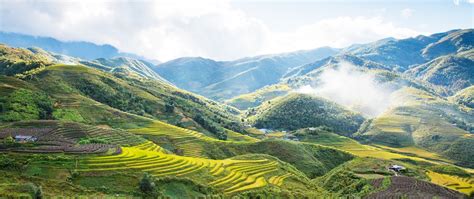 Kinantot sa sapa  C’est une des destinations les plus connues du Vietnam car elle dans tous les guides de voyage, que tout le monde y organise des voyages et qu’elle offre des paysages de rizières en terrasse avec des H’mong de partout