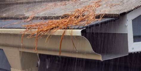 Kls gutters  It is necessary to prevent water dripping or flowing off roofs in