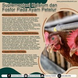 Kms farm broiler petir  With high production costs in because raising broiler chickens also provides a high income for farmers