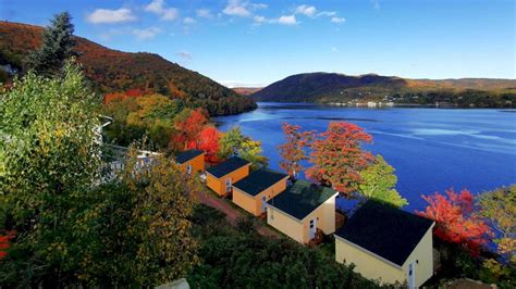 Knotty pine cottages  Contact Information Knotty Pine Cottages 39111 Cabot Trail Cape Breton, Nova Scotia, B0C1L0 Canada Tel: 902 285 2058 Toll Free: 1-800-455-2058 Email: knottypine@outlook