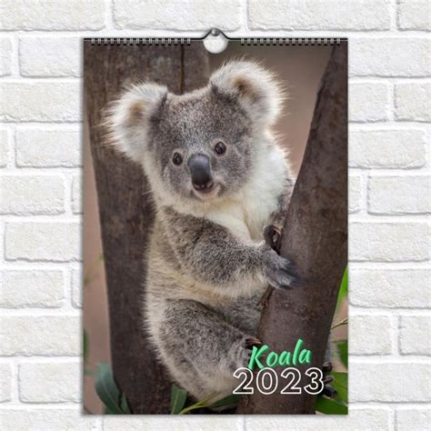 Koala poke marbella  467 reviews $$ - $$$