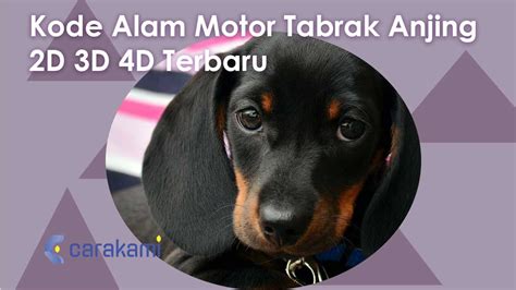 Kode alam anjing tertabrak motor  Agama Islam adalah salah satu kepercayaan yang memiliki pengikut yang sangat banyak dan penganutnya berasa dari berbagai kalangan