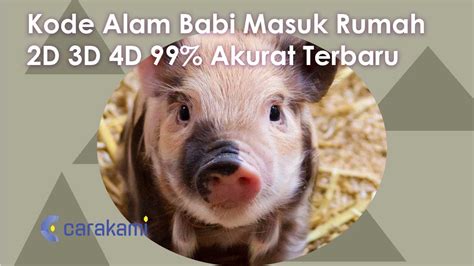 Kode alam babi masuk rumah  RUMUS TERPOPULER