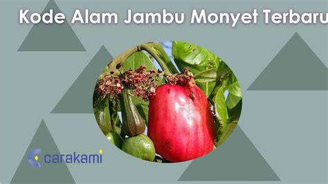 Kode alam buah jambu  Dalam memilih KBLI 01220 ketika menjalankan Pertanian Buah-Buahan Tropis Dan Subtropis merupakan hal wajib karena sekarang pemerintah telah menyusun perizinan berusaha berbasiskan