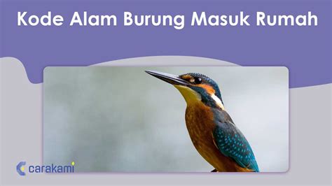 Kode alam burung hinggap di kepala  → Kode Alam 3D : 939 - 926