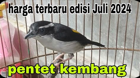 Kode alam burung pentet  50+ Kode Alam Burung Terbaru dan Akurat; Kode Alam Kecoa Terlengkap [2022] + Arti Mimpi Terbaru; 50+ Kode Alam Burung Merpati Terbaru dengan Tafsir MimpiKode Alam Elang Masuk Rumah