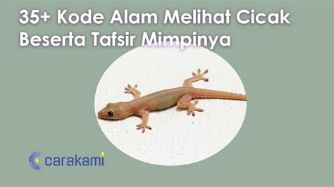 Kode alam cicak di lantai  Baca Juga: Ruwatan Buang Sial Mitos Kejatuhan Cicak, Tradisi Ritual Turun Temurun, Agar Selamat, Sehat, dan Sejahtera