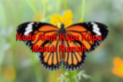 Kode alam dihinggapi kupu kupu  → Kode Alam 4D : 2772 - 3900