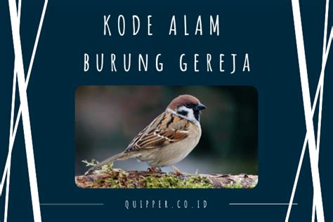 Kode alam gelandangan Nomor Kode Alam 2D 3D 4D Berobat Ke Dokter Menurut Buku Mimpi, Arti Mimpi / Tafsir Berobat Ke Dokter Menurut Islam dan Primbon Jawa, Nomor Togel Berobat Ke Dokter 4D 3D 2D dalam Buku Mimpi, Firasat Mimpi / Isyarat Berobat Ke Dokter Menurut Ibnu Sirin, Nomor Erek Erek 2D 3D 4D Berobat Ke Dokter Menurut Togel, Arti Mimpi /