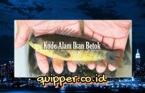 Kode alam ikan betok  4D = 6577 <> 5654