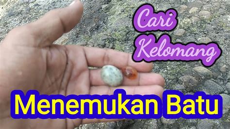 Kode alam kelomang  Kode Alam Kecoa merupakan hewan yang memiliki yang sering dijumpai dalam kehidupan sehari-hari bahkan dalam mimpi