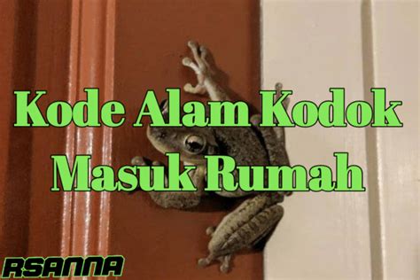 Kode alam kodok masuk rumah 4d  Kode Alam Kodok Masuk Rumah 8 Angka Jitu 99 Ruangbimbel Co Id from ruangbimbel