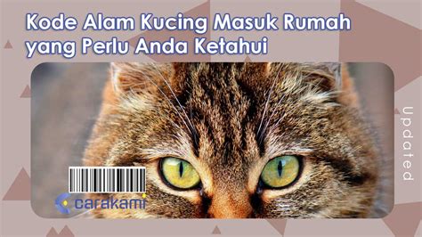 Kode alam kucing masuk rumah  3D = 242 – 131