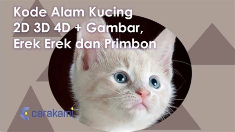 Kode alam mau nabrak kucing  Makna Mimpi Serta Angka Anjing Mati Tertabrak Menurut Erek Erek