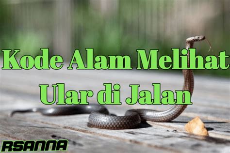 Kode alam melihat ular mati di jalan  Jika Anda muslim, mimpi menyaksikan ular di jalan mampu bermakna sesuatu