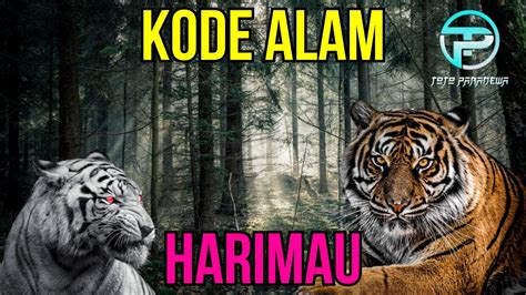 Kode alam mimpi melihat harimau  Kode Alam Mimpi bertemu ustadz dalam hutan 2D 3D 4