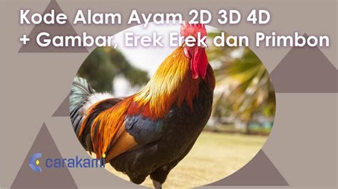 Kode alam nabrak ayam  → Kode Alam 4D : 6675 - 5017