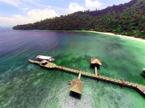 Kolaj bunga raya  Kedai bunga mengalami ledakan bunga