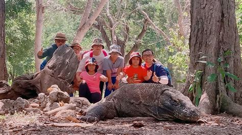 Komodo blessing adventure review Komodo Blessing Adventure: Great people, wonderful tour and tasty food - See 145 traveler reviews, 152 candid photos, and great deals for Labuan Bajo, Indonesia, at Tripadvisor