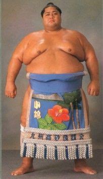Konishiki yasokichi <strong>Sumo wrestler Konishiki Yasokichi rates eight sumo fights in movies and TV shows, such as "Memoirs of a Geisha" and "Isle of Dogs," for realism</strong>