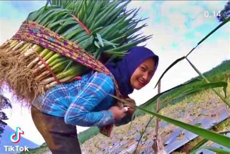 Kostum petani wanita Namun, setelah perjuangan menunjukkan hasil, petani perempuan kembali berjuang agar bisa mendapatkan akses lahan