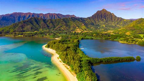 Kualoa tours promo code  Learn all about our catering services and the health benefits of our grass-fed beef for retail sale to the public