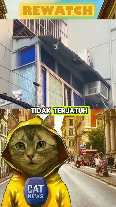 Kucing jatuh dari atap rumah togel Prediksi angka main atau angka togel yang jitu dari peristiwa mimpi tentang Kejatuhan Tahi Cicak Di Kaki menurut kode alam yakni: → Kode Alam 2D : 74 - 52