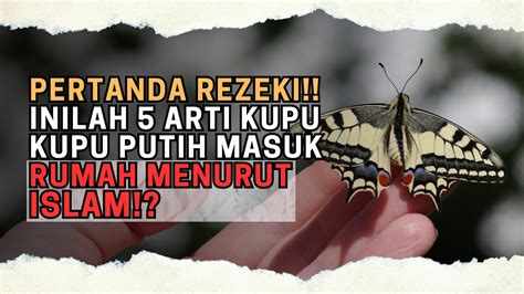 Kupu kupu masuk rumah menurut islam  Sementara arti kodok masuk rumah menurut Islam tak mempunyai pesan khusus