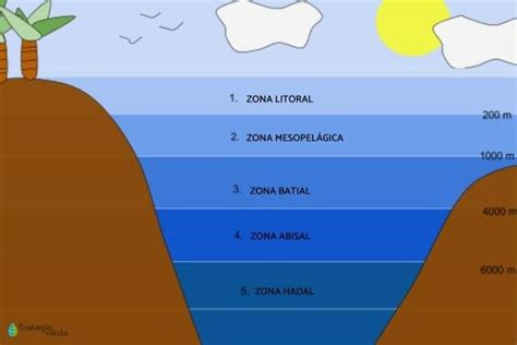 La zona batial Encuentra una respuesta a tu pregunta Como se llaman los 2 tipos de relieve