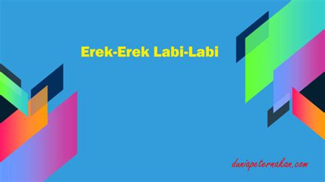 Labi labi erek erek  4D (4366-6588) 3D (769-877) 2D (98-87) Tafsir mimpi Celengan menurut Ibnu sirin