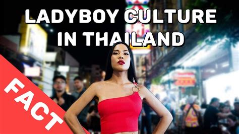 Ladyboy escort mn  Posted: 5:07 AM