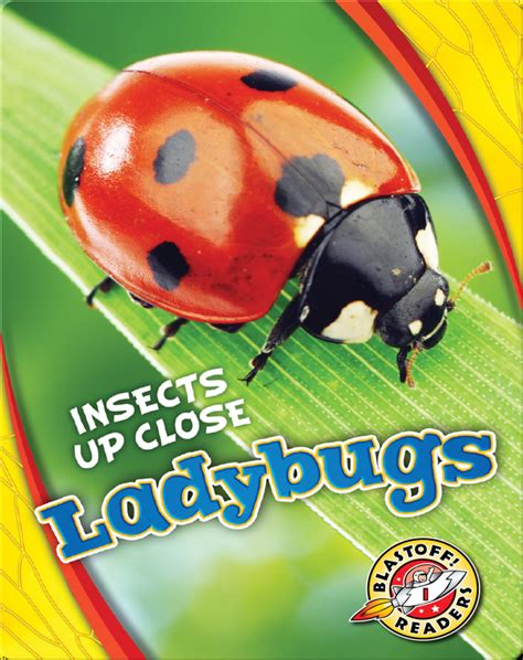Ladybug Coloring Book: Jumbo Coloring Book for Adults and Children