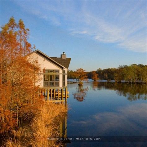 Lake chicot louisiana cabins Pet-Friendly Vacation Rentals in Louisiana