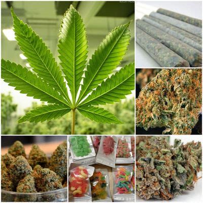 Las vegas weed delivery BudTrader™ provides local classifieds for medical marijuana, cannabis delivery, dispensaries, wax, dabs, vape, edibles, cannabis events, cannabis jobs and more