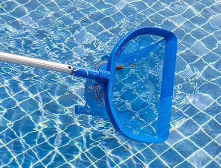 Las vegas weekly pool cleaning  I have been using Crown Champion