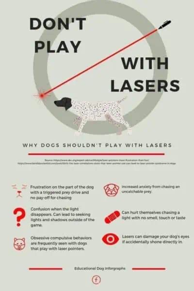 Laser pointer syndrome in cats  For younger cats or kittens, laser toys allow them to burn off excess energy