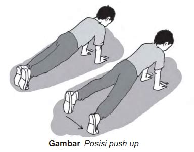 Latihan push up bertujuan melatih kekuatan otot  3) sit up, melatih kekuatan otot perut