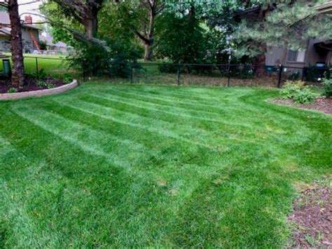 Lawn care papillion ne Find 301 listings related to Twigs Lawn Care in Papillion on YP