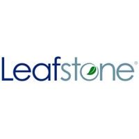 Leafstone staffing services  Try more general words