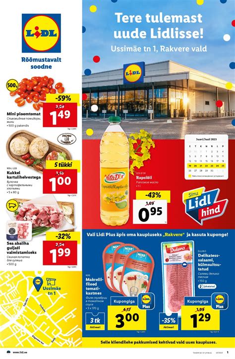 Lidl vallecrosia 11